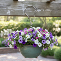 Rotating Windproof Stainless Steel S-Hook for Outdoor Hanging Baskets and Lanterns
