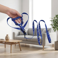 Small Dog Harness and Small Dog Leash Nylon Pet Dog Walking Set and Cat Walking Set, Not Retractable Training Outdoor Walking Gear