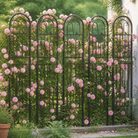 Arched Trellis, 50cm Wide Rose Arch, Rust-Free Iron Material Climbing Grid, Support for Climbing Plants and Flowers