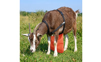 Anti-Breeding Apron Long-Lasting Breeding Control Apron Reliable Practical for Breeders, Farms, Pastures