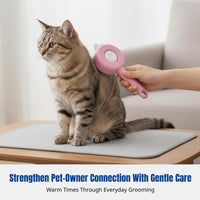 Pet Grooming Brush, Pet Hair Comb, Detangling, Hair Removal, Massage, Home Care