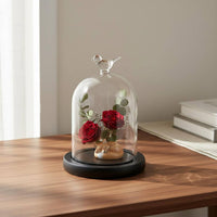 Preserved Flower Display Jar Great Gift Notion Glass Dome Display Stand Cloche Dome Jar DIY Easy to Use Desktop Debris Cover
