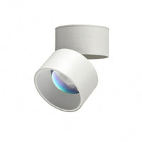 Cylindrical Head Surface Mount Lamp Rotatable Adjustable Ceiling Lamp Foldable Surface Mounted Light Aluminum