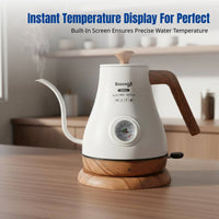 Stainless Steel Electric Gooseneck Kettle, Temperature Control, Drip Over Coffee Pot, Insulated, Fast Heating