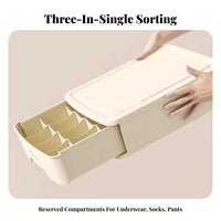 Compartment Underwear Box Visible compartment Drawer Organizer particlesprotected with Lid