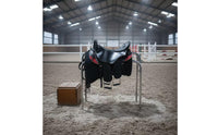 Leather Saddle Padded Doubleequestrian Saddle Balanced for Equestrians