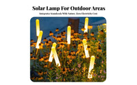 Waterproof Solar Stalk Light Decorative Solar Powered Ground Light Dusk to Dawn for Lawn, Patio, Pathway