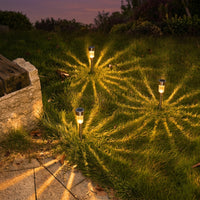 Solar Lights Outdoor Garden Decor with Manual Switch, Solar Powered Garden Lights in Abstract Shape