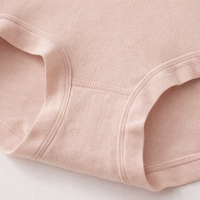 Underwear Women with High Elastic Seamless Design for Everyday Wear, Ladies Knickers in Soft Material for All Season Use, Breathable Pants for
