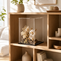 display case