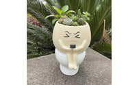 Novelty Toilet-Shaped Planter Funny Toilet Planter Quirky Succulent Pot Whimsical for Gardeners, Garden, Patio, Balcony