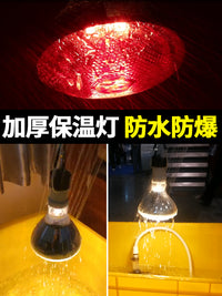 智牧人保温灯猪用小鸡取暖灯泡育雏保温灯养殖场专用红外线畜牧用