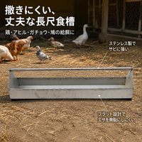 poultry feeder