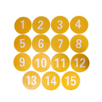 15 Pieces Training Discs Numbered Discs Thin Poly Spots for Athletes