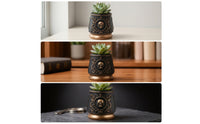 Skull Planter Ornate Planter with Skull Relief Flowerpot Decorative Halloween for Goth Decor Lovers, Desk, Windowsill