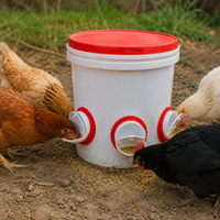 Automatic Chicken Feeder, Poultry Feed Dispenser for Smallholding & Hobby Farmers, Chick Feeder, Outdoor Animal Feed
