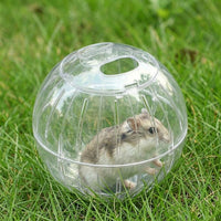 18cm Hamster Ball with Secure Assembly, Transparent Exercise Sphere for Sugar Gliders and Squirrels, Indoor Outdoor Activity Use