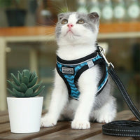 Cat Vest Harness with Soft Mesh, Cat Walking Harness for Small Breeds, reliable cat Leash Attachment for Outdoor Walking Gear