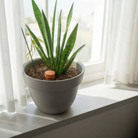 4 Pieces Ceramic Seep Irrigator No Electricity Automatic Plant Waterer