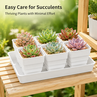 Small Square Plant Pots, 10cm Resin Flower Pots with Drainage, Breathable Outdoor Planters for Dry Plants