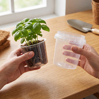 Transparent Orchid Pot with Ventilation, Root Control, and Outer Pot for Seedling Cultivation