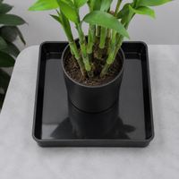 40cm Square Flower Pot Saucer, Red Synthetic Flower Pot Tray, for Indoor and Outdoor Plants