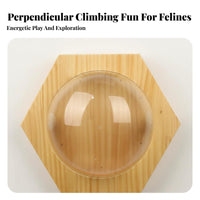 PunchNo-Drill Installation Wall-Mounted Feline Bubble Space-Saving Transparent Bubble Bed Panoramic View Pet Furniture for Apartment Dwellers, Living Room, Bedroom, Indoors