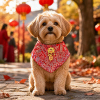 Pet Chinese New Year Tang Suit Cloak for Dogs and Cats - Teddy, Bichon, Wedding Attire, Neck Scarf, Hanfu Style