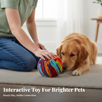 Dog Snuffle Ball Mental Stimulation Snuffle Ball Chew Resistant for Indoor Use