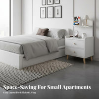 Easy Assembly Modern Nightstand 2 Drawers Thickened Board Modern 2-Drawer Nightstand Multi-Functional Bedside Storage Shelf Table for Apartment Dwellers, Students, Homeowners, Dorm Room