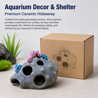 aquarium ornament