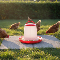 Grid Separation Design Automatic Chicken Feeder Long-Lasting PE Material Automatic Poultry Feeder Easy to Install and Clean for Backyard