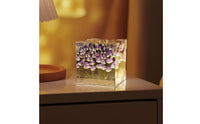 Rose Lamp with Acrylic Cube Floral Rose Night Light Flower Night Light Transparent Flower Lamp Decorative for Bedroom, Desk