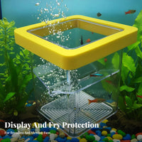 Aquatic Breeding Box Removable Divider Buoyant Aquatic Hatchery Aquatic Habitat Breeder Box Thickened Material Sturdy And