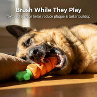 Carrot-Shaped Pet Chew Toy for Dogs, Durable Nylon