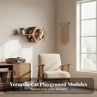 Solid Wood Construction Wall-Mounted Cat Furniture Set Includes Scratching Posts Wall Mounted Cat Climber Sturdy & Long-Lasting Kitty Adventure Zone Gym Space-Saving for Apartment Dwellers, Indoors, Indoor, Living Room, Bedroom
