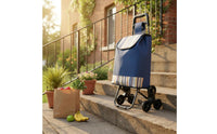 Lightweight Stair Climbing Carrier Stainless Steel Frame Portable Hand Truck for Seniors, Laundry