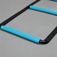 agility ladder