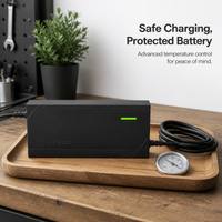 Electric Vehicle Lithium Battery Charger 48V 60V 72V 5A Fast Charger for Ternary Polymer LiFePO4 Batteries