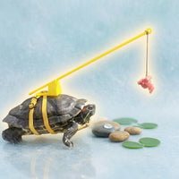 Turtle Walking Leash Telescopic Turtle Leash Harness Rod Handle Pet Tortoise Walking Rope for Outdoor