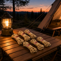 tent stakes and ropes