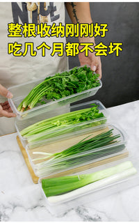 香菜小葱保鲜盒食品级葱姜蒜备菜收纳保鲜神器鸡蛋面条冰箱收纳盒