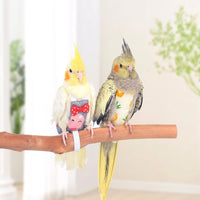 Parrot Nappy and Pet Bird Diaper, Paper Material Bird Droppings Collector for Parakeet Cockatiel Macaw Budgie, Single Pack Parrot Diaper Use