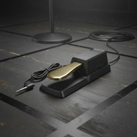 2 Pieces Insertable Connector Universal Sustain Pedal Heavy Duty Build Digital Piano Sustain Pedal Portable Design for Stage Performance
