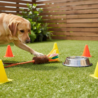 Dog Rope Toy Stretch Tug Rope Retrieve Game Animal Plaything for Outdoor, Training