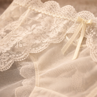 Underwear Women with Lining and Extended Coverage, Knickers with Mesh Lace Overlay, Breathable Panties for Everyday Wear