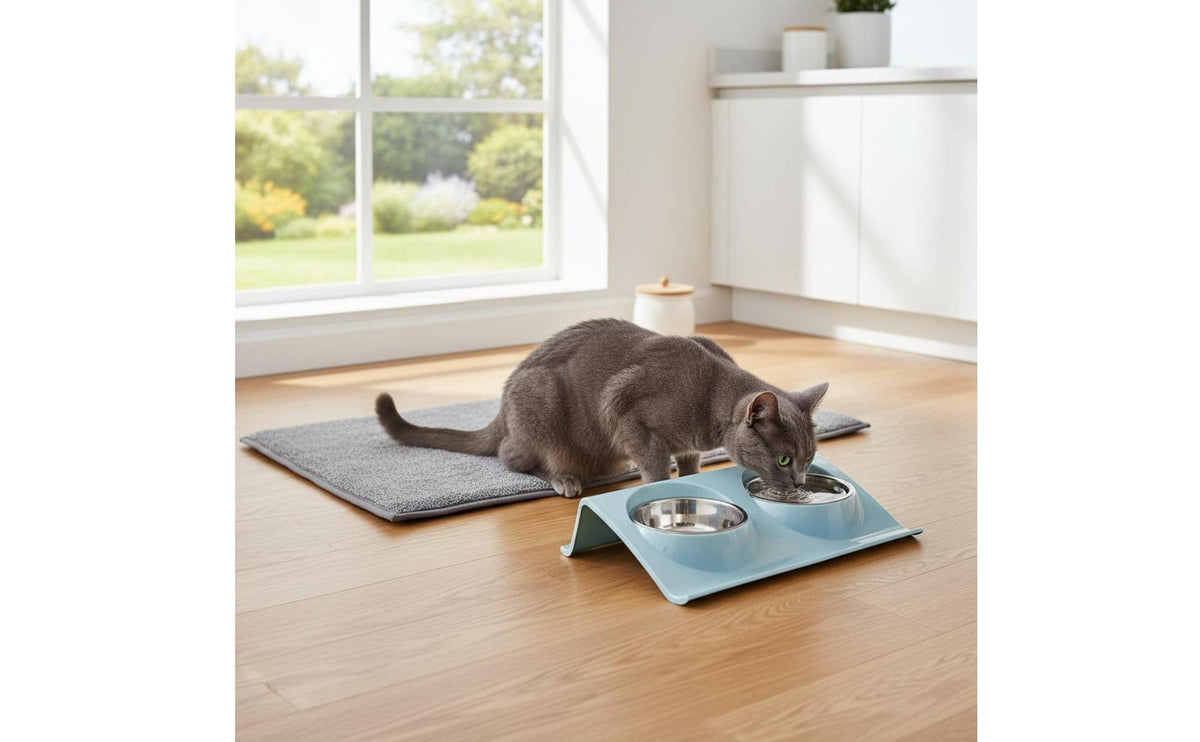 Tilted Cat Bowl Detachable Bowls Double Pet Bowl Easy to Clean Tilted Pet Feeder for Kittens, Small Dogs