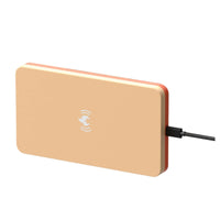 Low Voltage Bird Heat Panel Compact Bird Warming Panel Beige and Orange