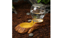 Easy to Clean Automatic Amphibian Water Dispenser Anti-Tip Design Weight-Based Water Feeder for Tortoise Space Saving Terrarium Accessory