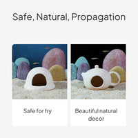 Mini Ceramic Aquatic Habitat Hideout Set